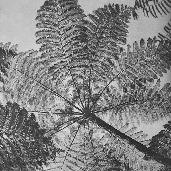 Do Vitamins Expire? What to Know ASYSTEM