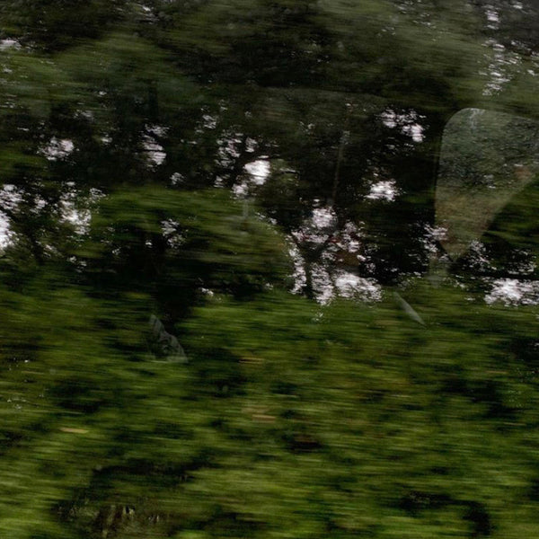 How Much Coq10 to Take? Dosage & Benefits ASYSTEM