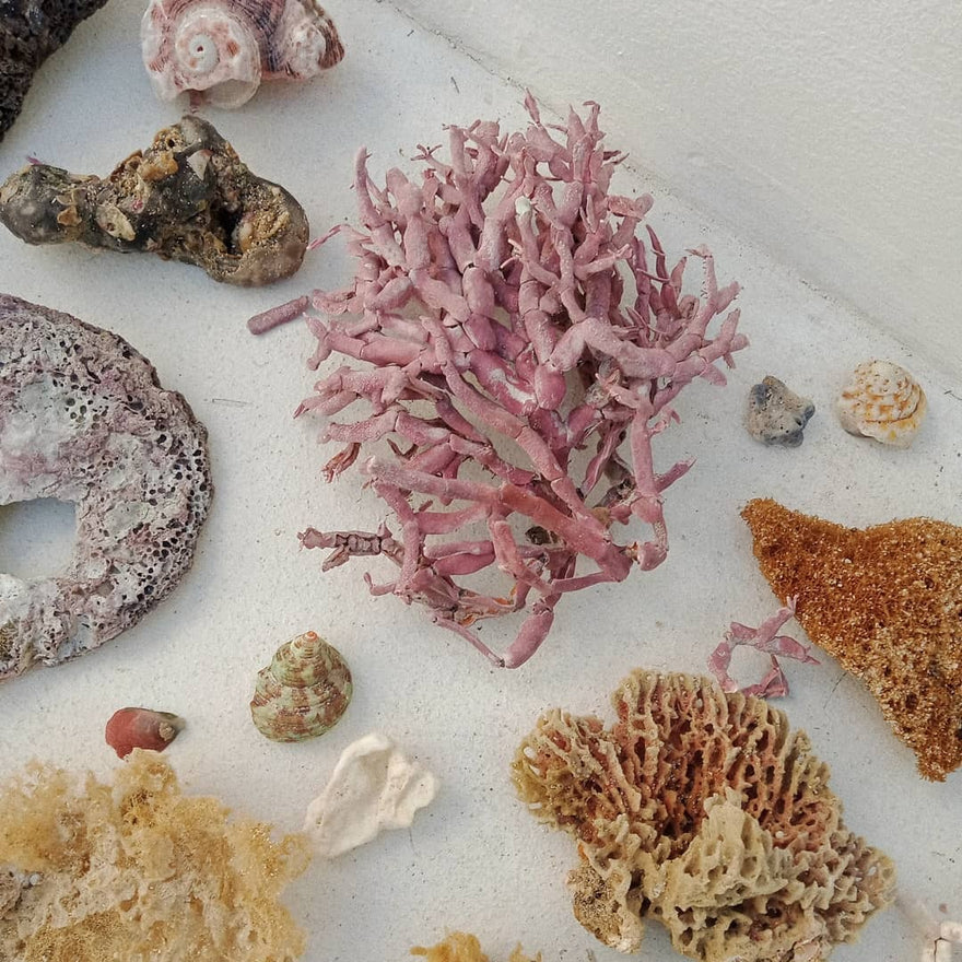 Difference Between Vitamins and Minerals Explained ASYSTEM