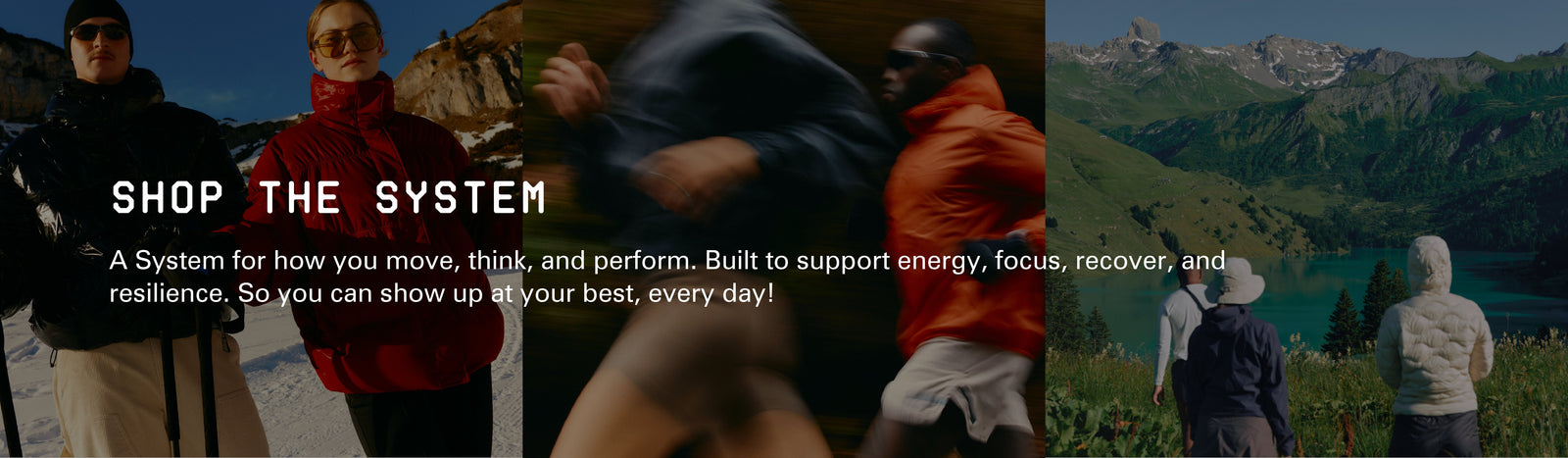 Shop the System banner