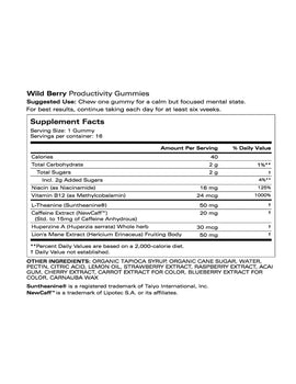 Productivity Gummies - 16 Tin